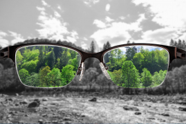 AdobeStock_421880334.jpeg